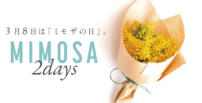 MIMOSA 2days