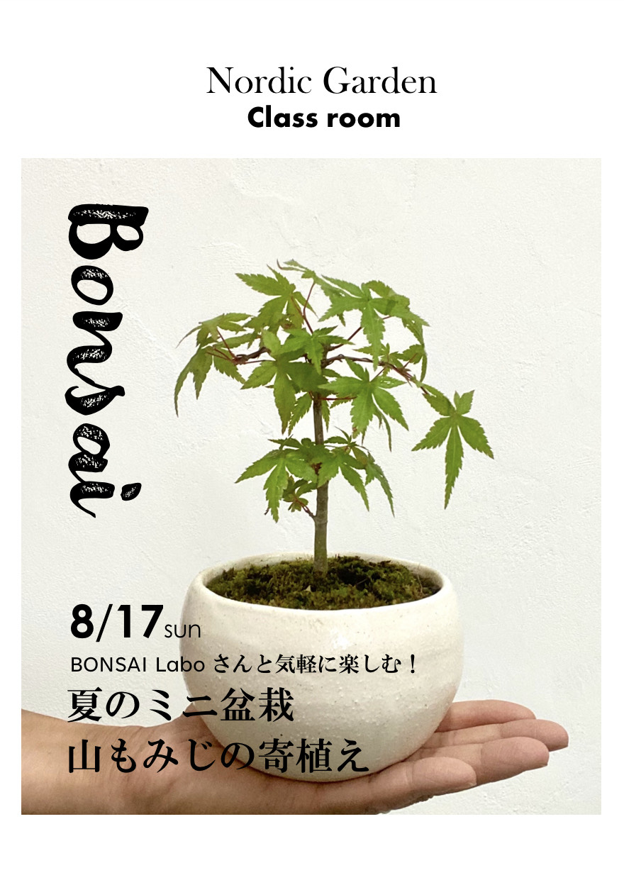 ～夏の教室 vol.3～ BONSAI Laboさんと気軽に楽しむ！『夏のミニ盆栽 山もみじの寄植え』